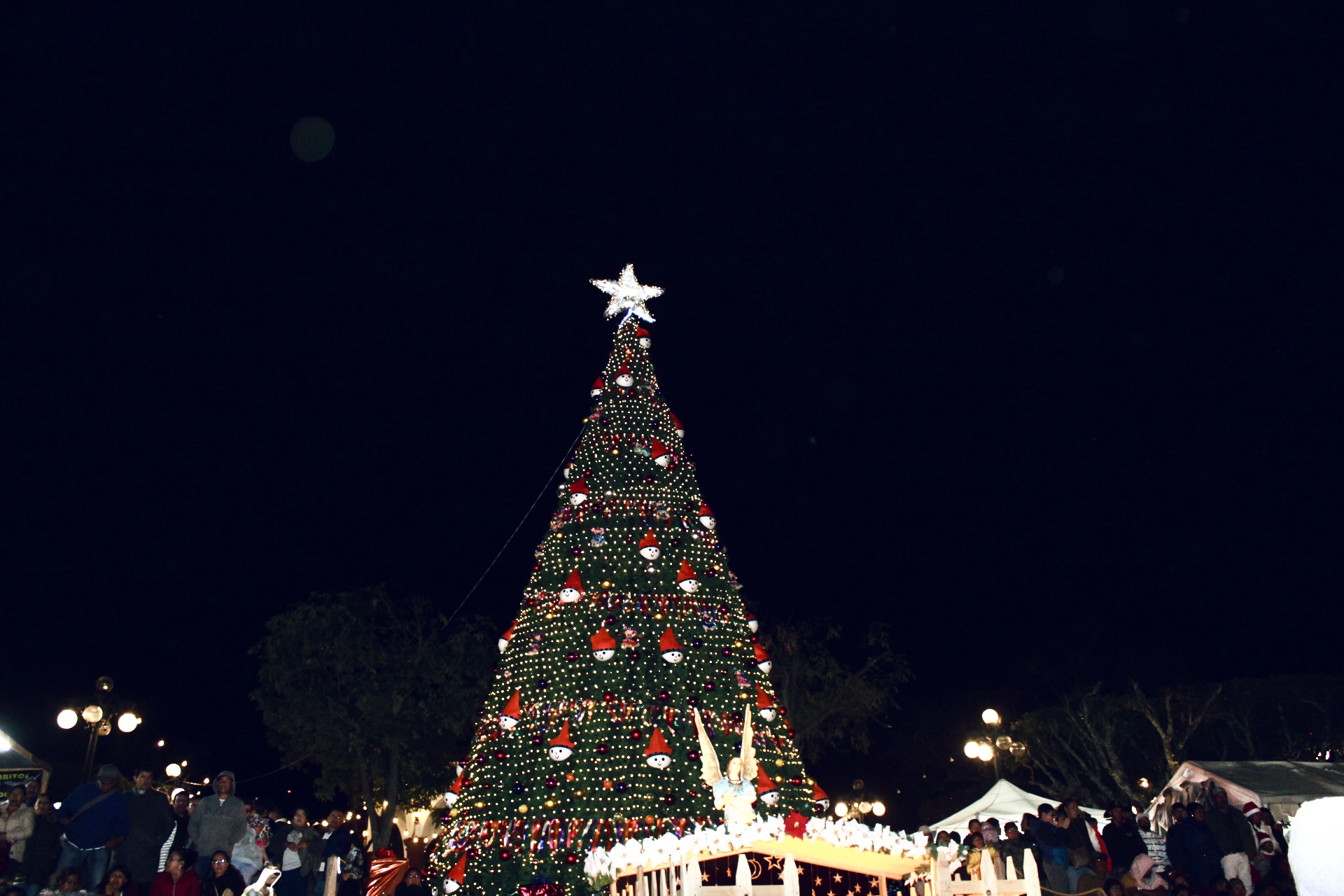 Encendido de Árbol Navideño en Amealco